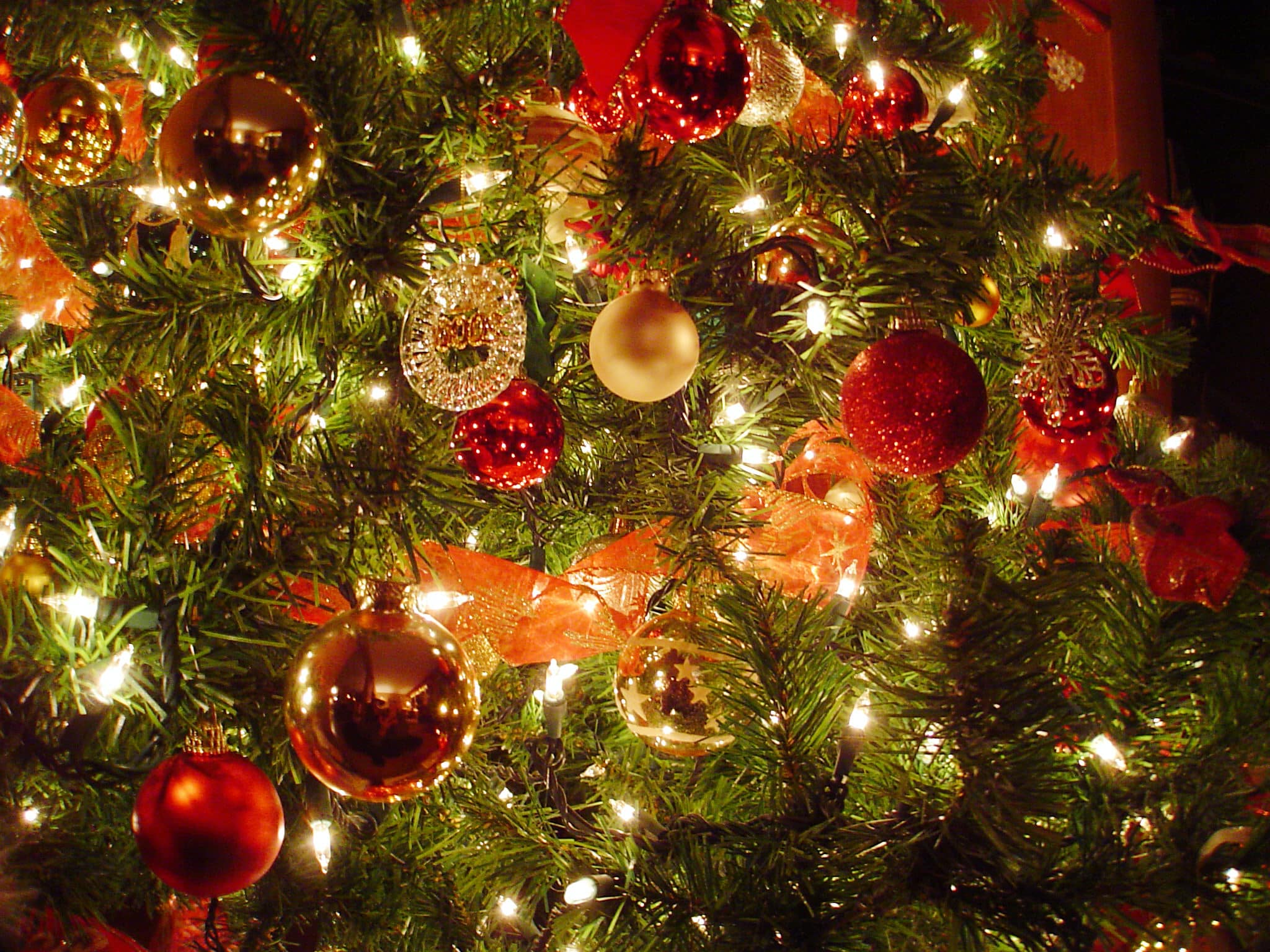 christmas tree closeup
